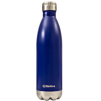 Insulated Stainless Steel Water Bottle