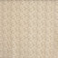 Allure Floral Fabric