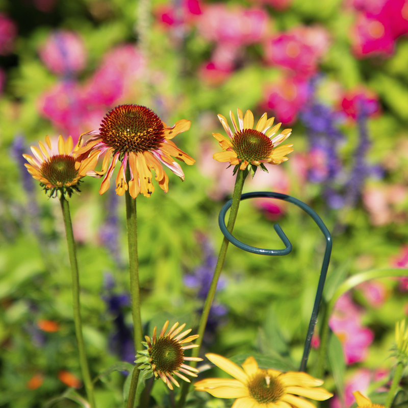 Support pour plantes Lebec