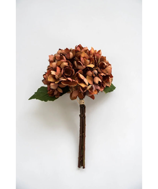 Ensemble d'hortensia brun 14 po