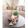 Feu de Bois Reed Diffuser