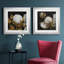 Cotton Balls I - Cadre photo-1492861062-1492861061-1492861060