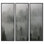 «Foggy Pine Forest Landscape in Moody Gray Green Tones», reproduction d'art sur toile encadrée