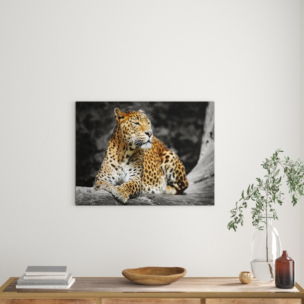 Leinwandbild Wunderschöner Leopard in der Natur