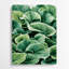 Watercolor Botanical 44 Green Metal Wall Art-1268479293