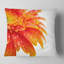 Gerbera floral avec oreiller raindrops-30721255-30721251
