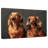 Brampt Dachshund Couple-107860631