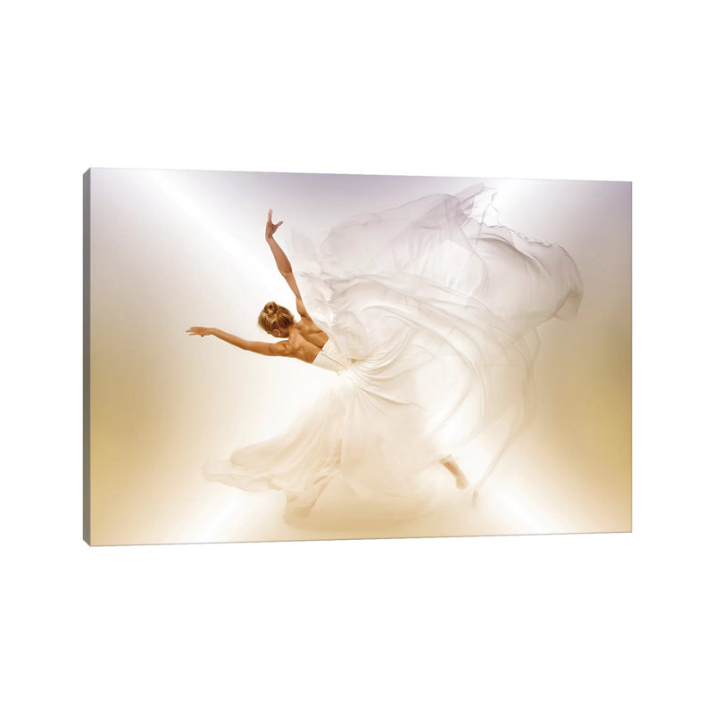 Butterfly by John Andre Aasen - Wrapped Canvas Print, 30.48 cm H x 45.72 cm W