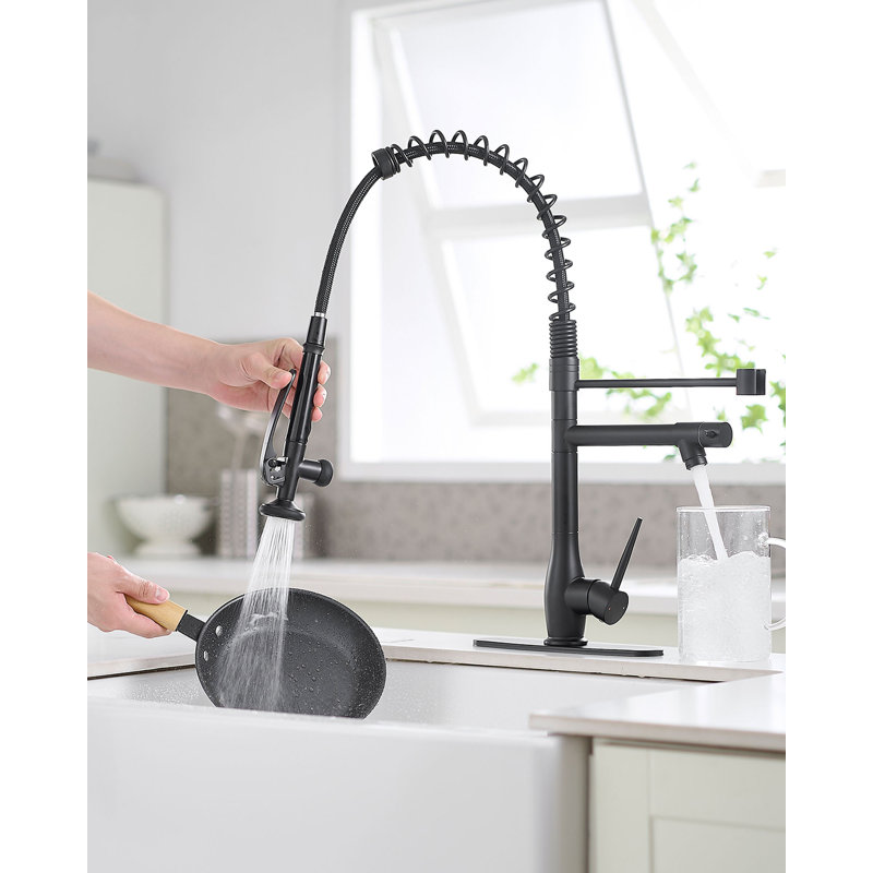 Robinet d'évier de cuisine commercial avec robinet à une poignée, Noir mat