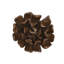 Topsy Turvy Succulent Wall Art, Imperial Bronze