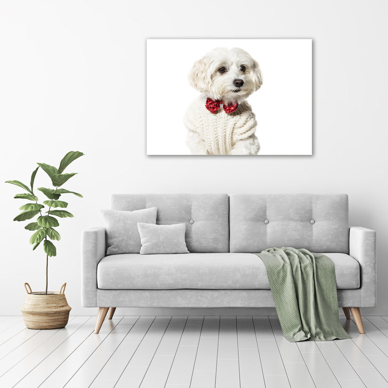 Maltese In A Bow Tie - No Frame Print on Canvas