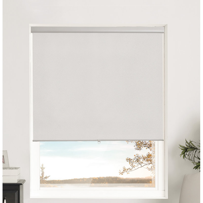 Blackout Roller Shade, 23" W x 66" L