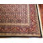 Tapis bleu marine / bourgogne Signature Legacy-2010306