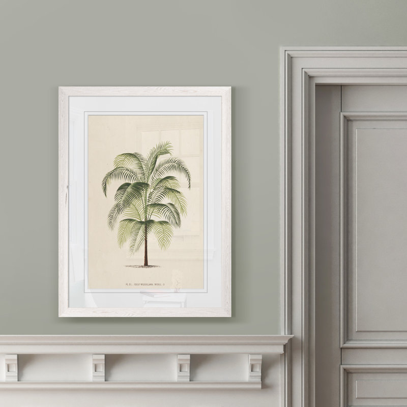 « palmierss iii » par paul cezanne-reproduction d’art sur image, H 28 po x l 38 po x P 1,3 po, Imprimé encadré blanc, Blanc