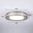 Chic Iron Bird's Nest LED Ceiling Light 5-Class Dimmble-1366346121-1366346122