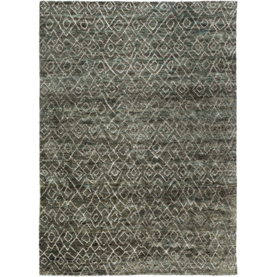 Albert Hand Knotted Oriental Indoor Rug