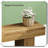 Modern Bench Versatile Stable Seating For All Home Rooms