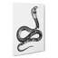 Viper Snake Illustration - Wrapped Canvas-55302676