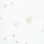 Schumacher x Porter Teleo Stellar Wallpaper-59158848
