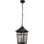 Luminaire suspendu d'extérieur 12,2 po câblé-100015660