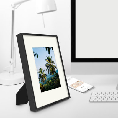 Picture Frame Classic Metal Frames - Basics by Wayfair™