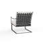 Lucier Patio Chair with Sunbrella Cushions-39267470