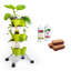 Ollyver Planter