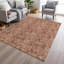 Tapis terre cuite lavable à la machine intérieur / extérieur Xhevrie-1295789945
