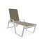 Holna Outdoor Rust-Resistant Metal Chaise Lounge