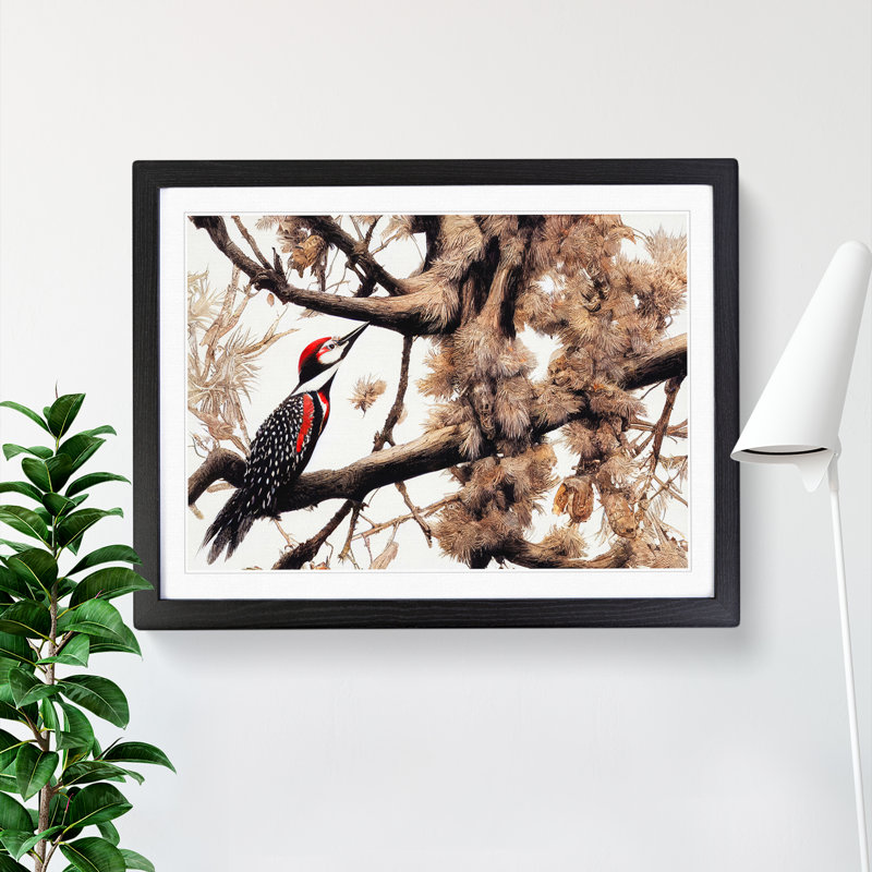 XH1022-8982X The Remarkable Woodpecker Bird - Single Picture Frame Print, Black, 46cm H x 64cm W x 2cm D