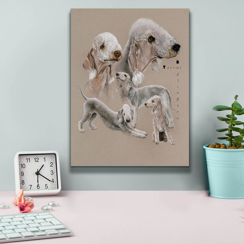 «Bedlington Terrier» par Barbara Keith, H 16 po x l 12 po x P 0,75 po