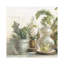Greenhouse Orchids On Shiplap II by Danhui Nai - Wrapped Canvas Painting-2028192971