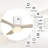 Amoni 52'' Ceiling Fan with LED Lights-1677886504-1677886505
