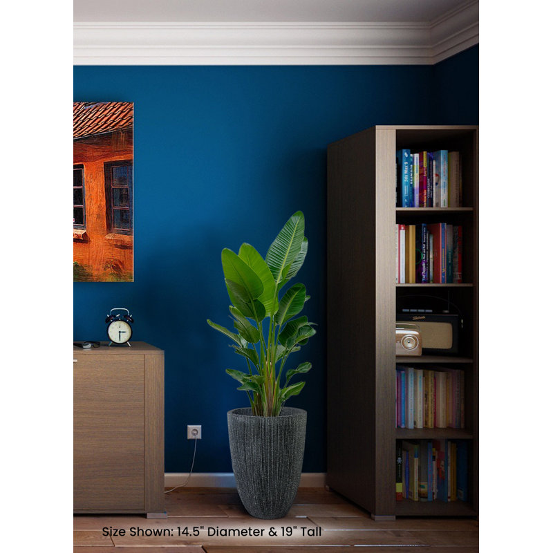  Grand pot de fleurs noir nervuré, pot d'intérieur avec finition texturée, aspect pierre de PVC léger pour décoration moderne de maison et de bureau, diamètre de 14,5 po et hauteur de 19 po