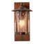 Rustic Lodge 1 - Light Armed Sconce