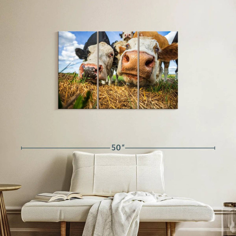 Vaches curieuses Brampt, H 24 po x l 38 po