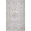 Mountmellick Oriental Handwoven Recycled P.E.T. Indoor / Outdoor Area Rug in Driftwood-500148793