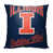 University of Illinois Urbana-Champaign selected