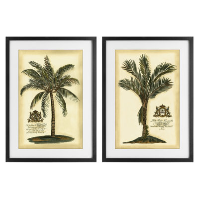 Ensemble de 2 reproductions encadrées sous verre rétro Vintage Palms, conception par Vision Studio