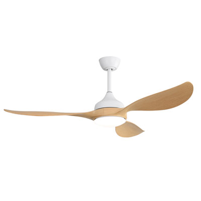 56 Inch Modern Ceiling Fans Dimmable LED Light Quiet DC Reversible Motor for Indoor & Outdoor