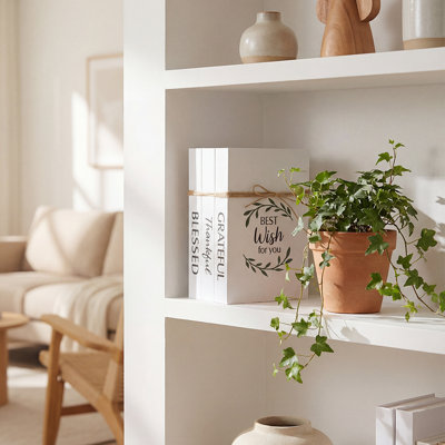 Ensemble de 3 boîtes à livres décoratives blanches