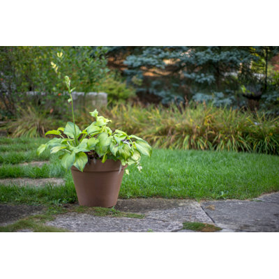 Pot à fleurs Cara