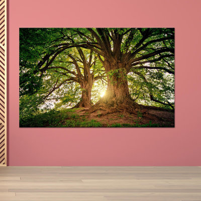 Toile imprimée: Paysage de forêt - vue sur la nature, toile dorée 1P