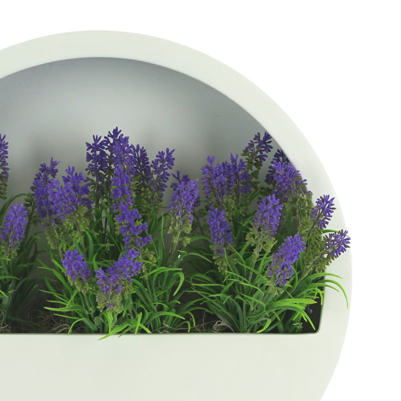 Outdoor UV Rated Lavender in Hanging Planter