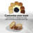 Toastation® 2-in-1 Toaster And Oven