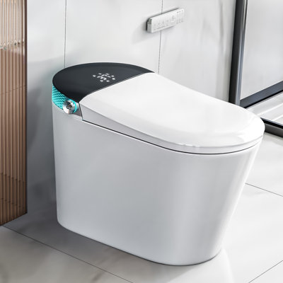 Dual-Flush Elongated Bidet Toilet (Seat Included)