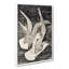Two Flying Seagulls by Theo Van Hoytema - Wrapped Canvas-61852847