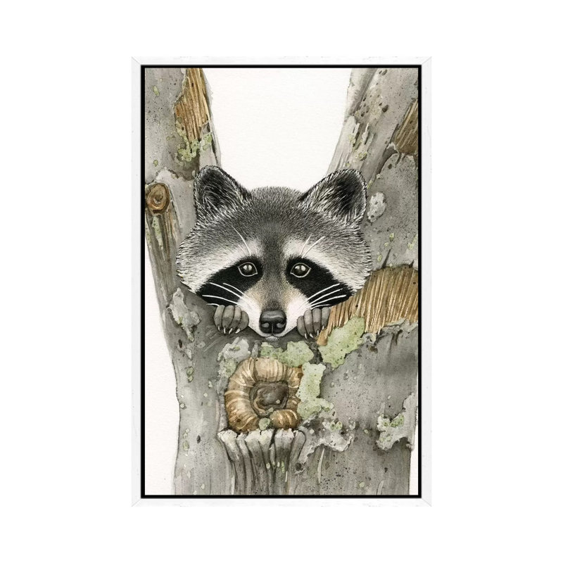 Raccoon by Tracy Lizotte - Painting on Canvas, White Framed, 66.04cm H x 45.72cm W x 3.81cm D
