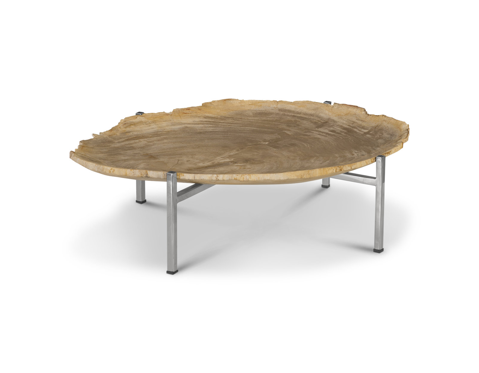 Petrified Wood Tray with Stainless Steel Base - Thumbnail 5