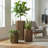 Hexagon Column Planter-1552051106